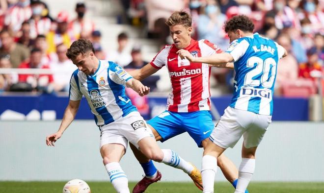 提升了市场 提升了市场