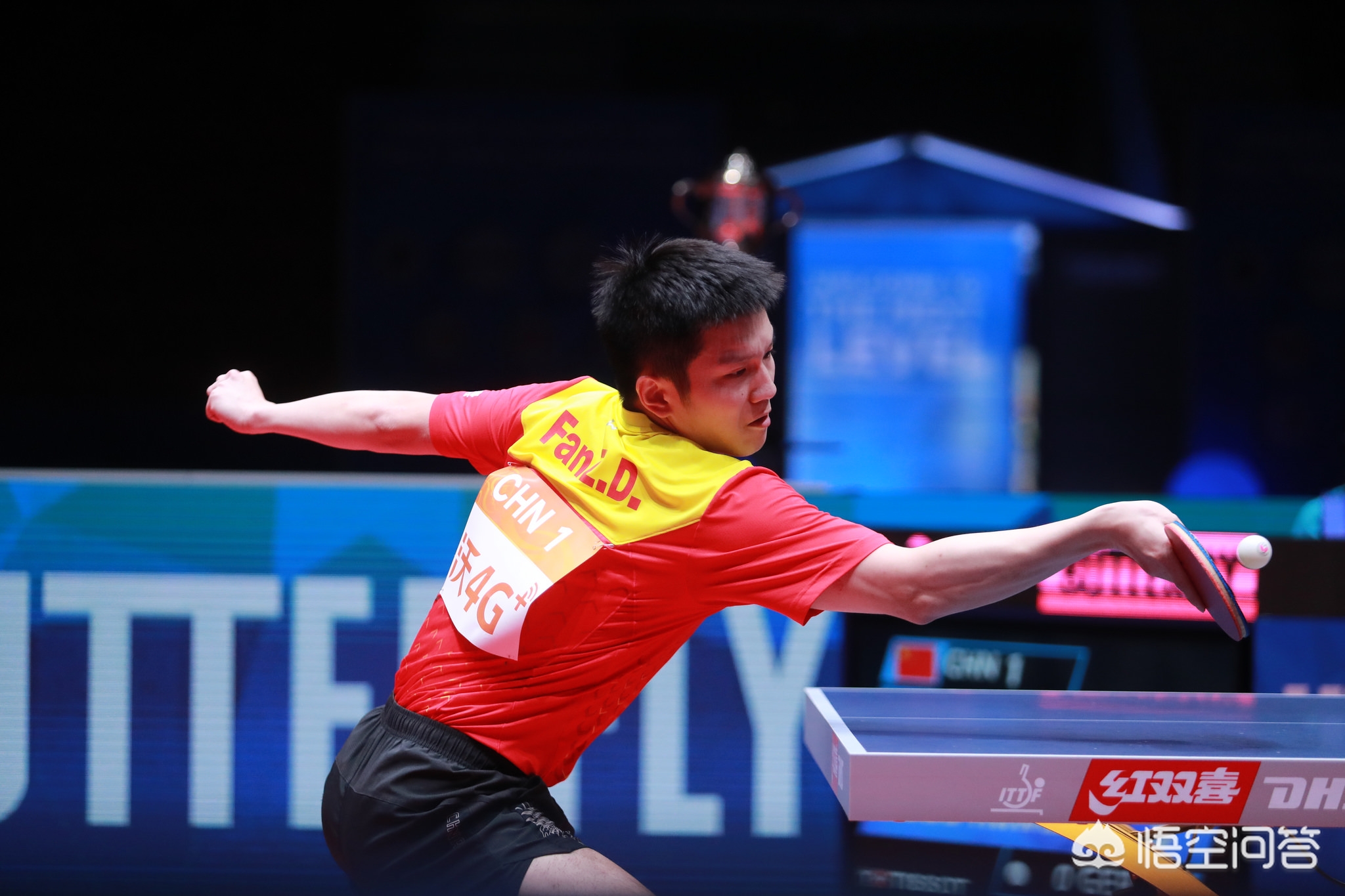 不仅有经验 不仅有经验